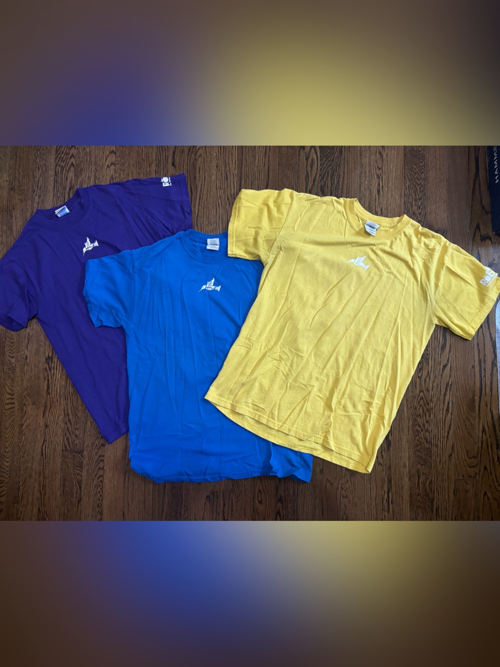Robeks Fresh Juice and Smoothies T-Shirts, Bundle of 3, Small and Medium